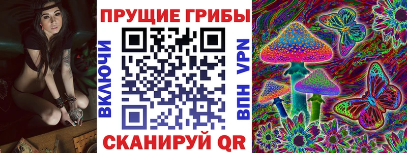 Галлюциногенные грибы Psilocybine cubensis  Купить где  Десногорск 